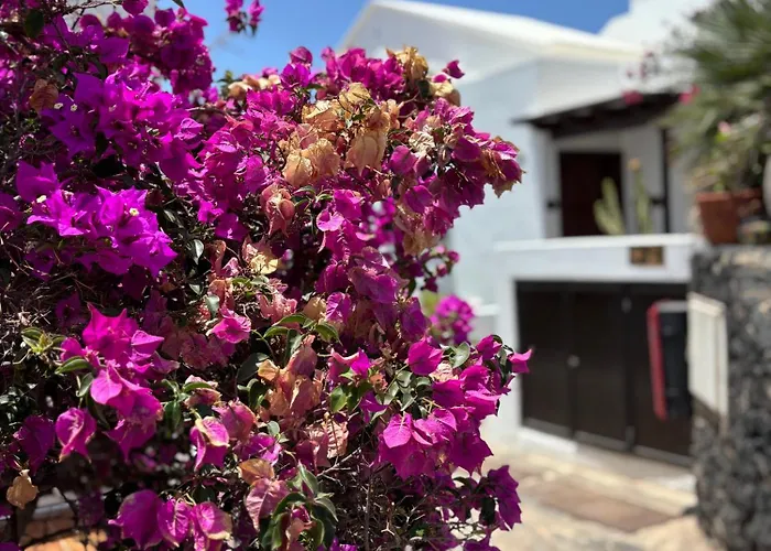 La Necora Lanzarote *