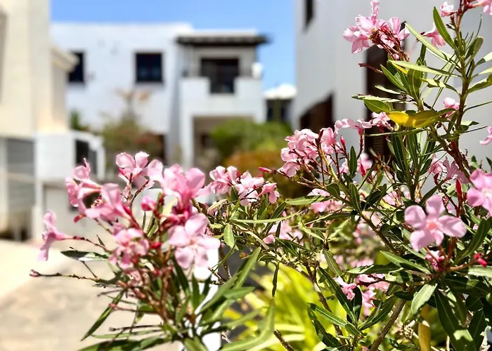 La Necora Lanzarote Apartman Playa Honda