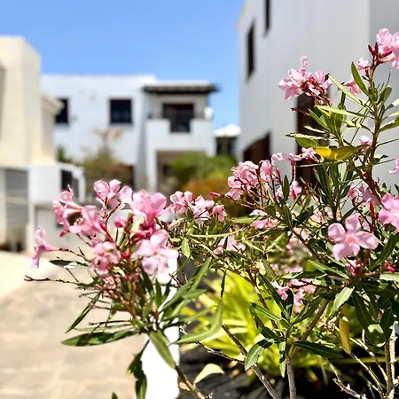 La Necora Lanzarote Διαμέρισμα Playa Honda (Lanzarote)
